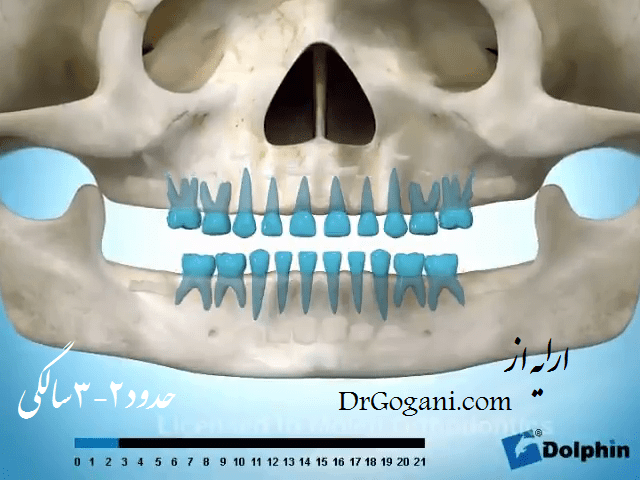 نظارت بر رویش دندان